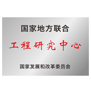 新澳门内部资料精准大全