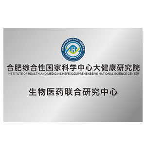 新澳门内部资料精准大全