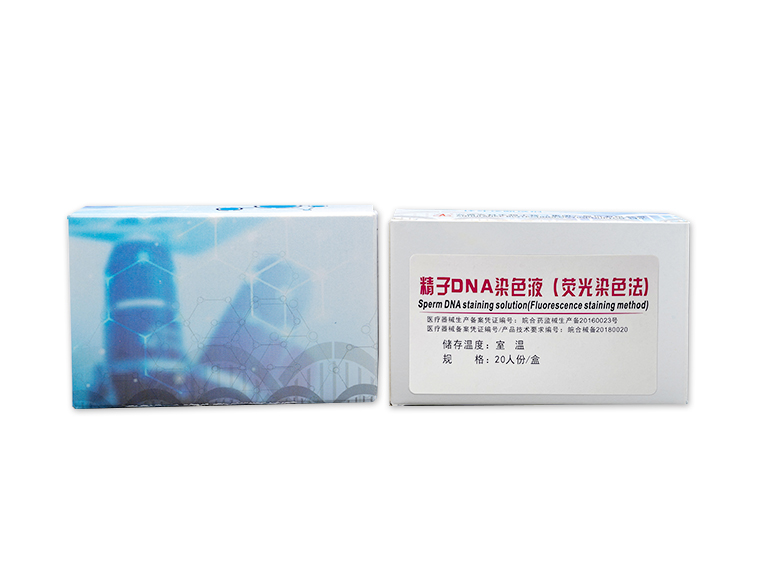 新澳门内部资料精准大全