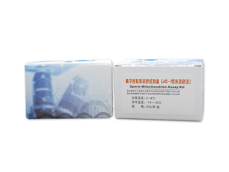 新澳门内部资料精准大全