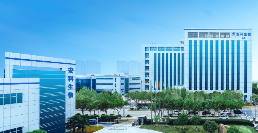 新澳门内部资料精准大全
